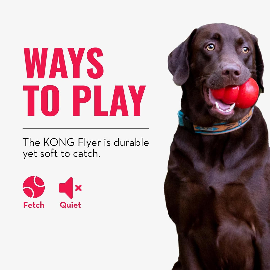 KONG Flyer - Durable Dog Toy for Outdoor Playtime