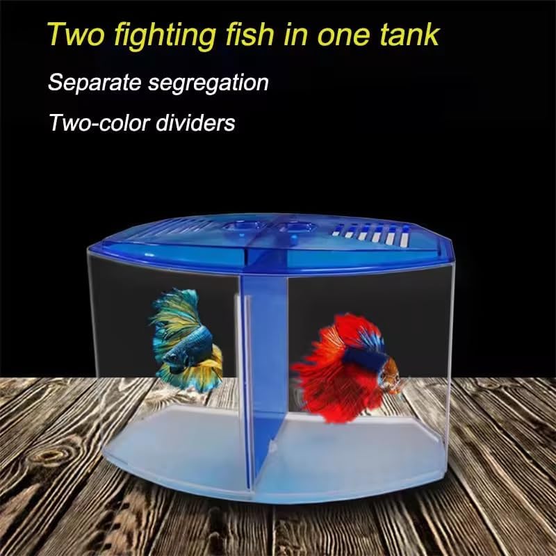 EatingBiting Large Double Compartment Fighting Fish Box Eco Rumble