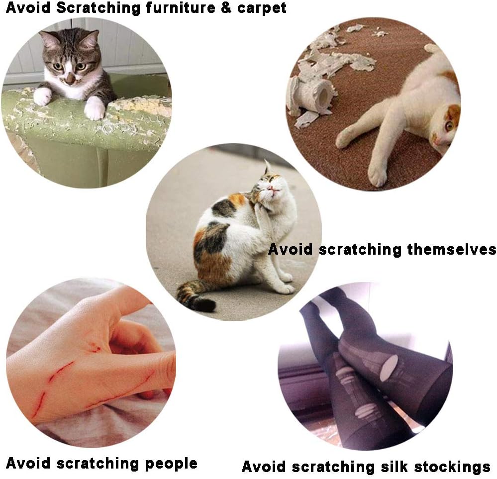 YMCCOOL 100pcs Cat Nail Caps/Tips Pet Cat Kitten Paws Covers Control