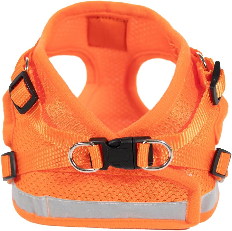 Travel Cat Harness and Leash Set