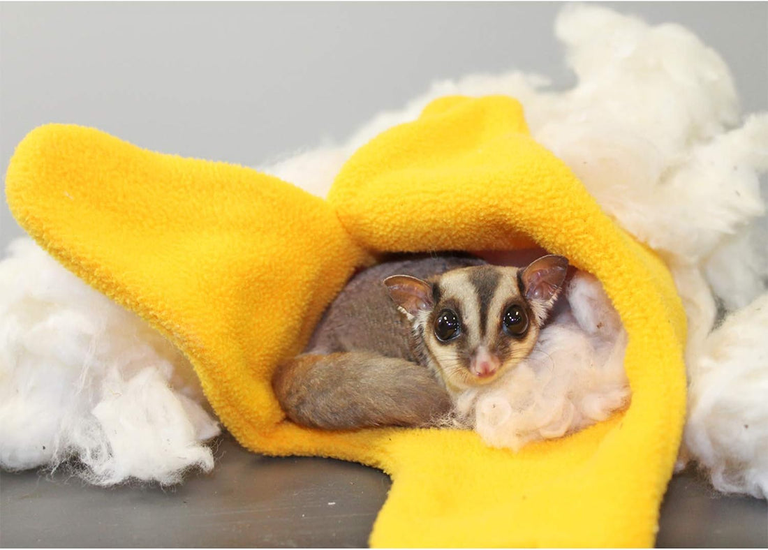 Exotic Nutrition All-Natural Nesting Material