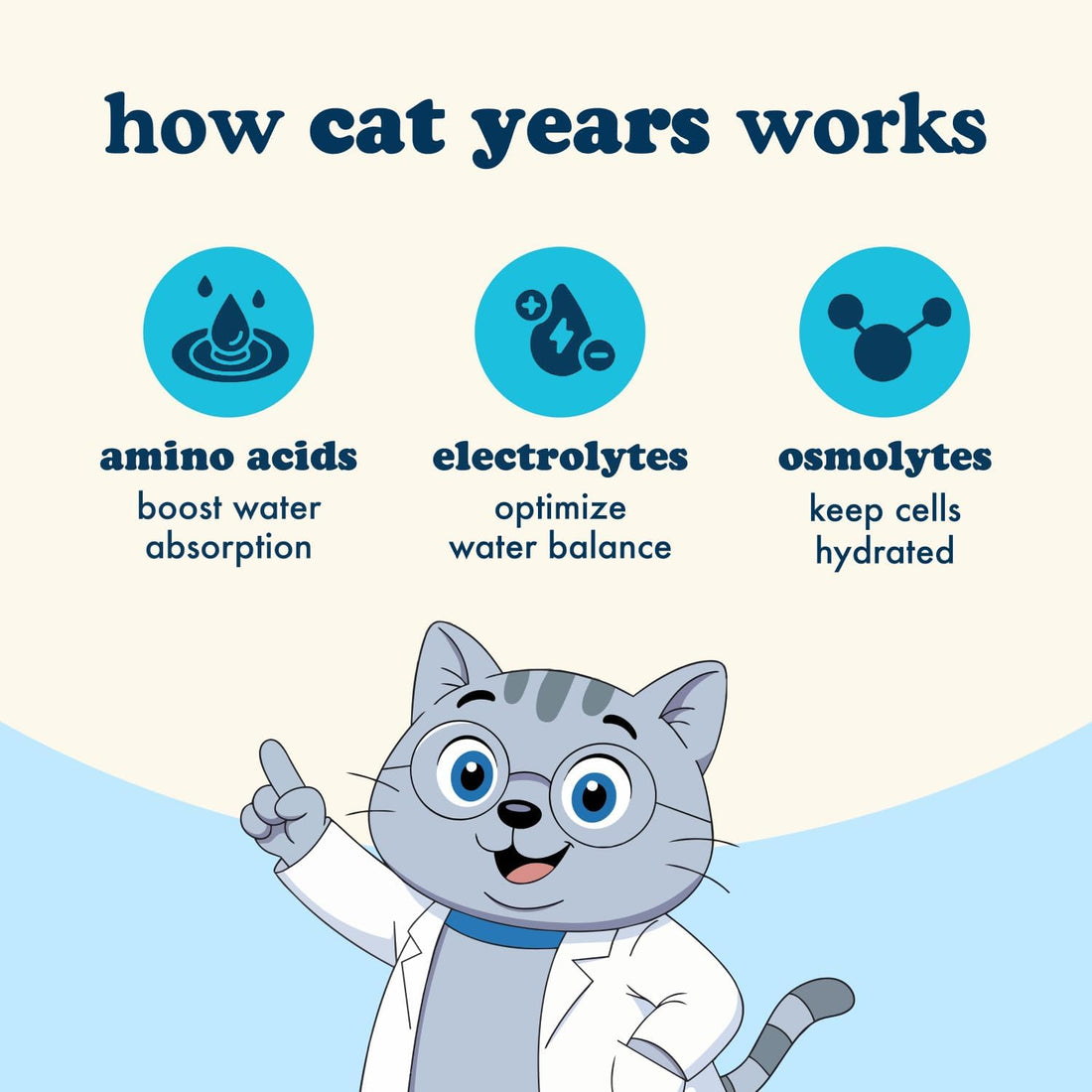 Cat Years Hydration Booster, Daily Lickable Treat