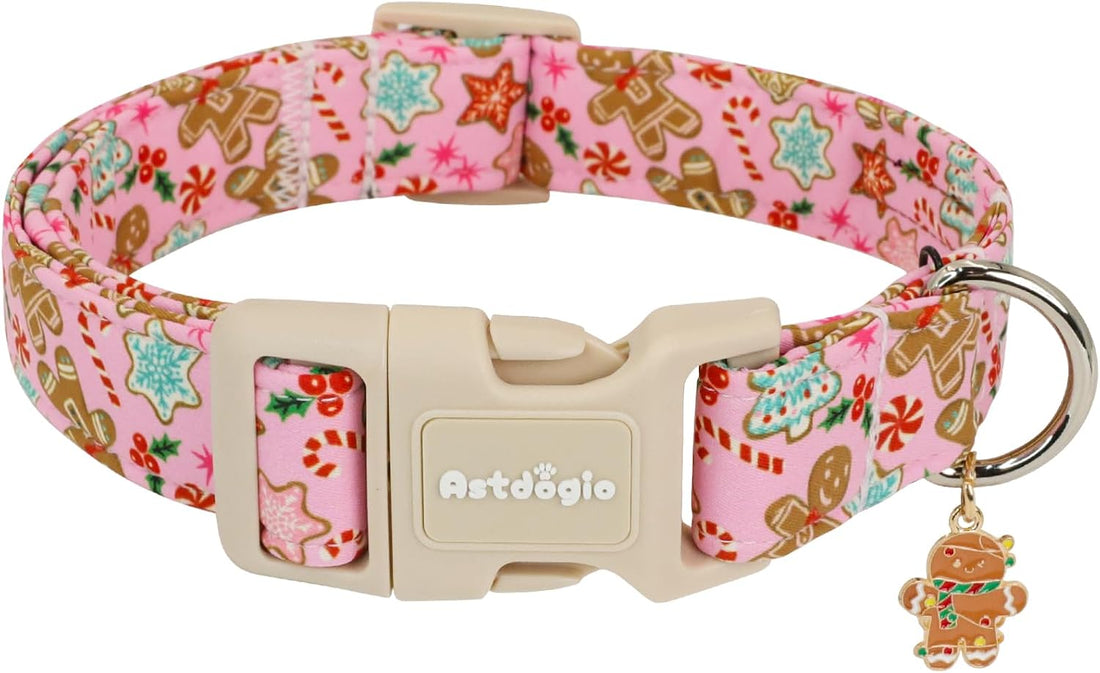 Medium Dog Collars for Male Dogs