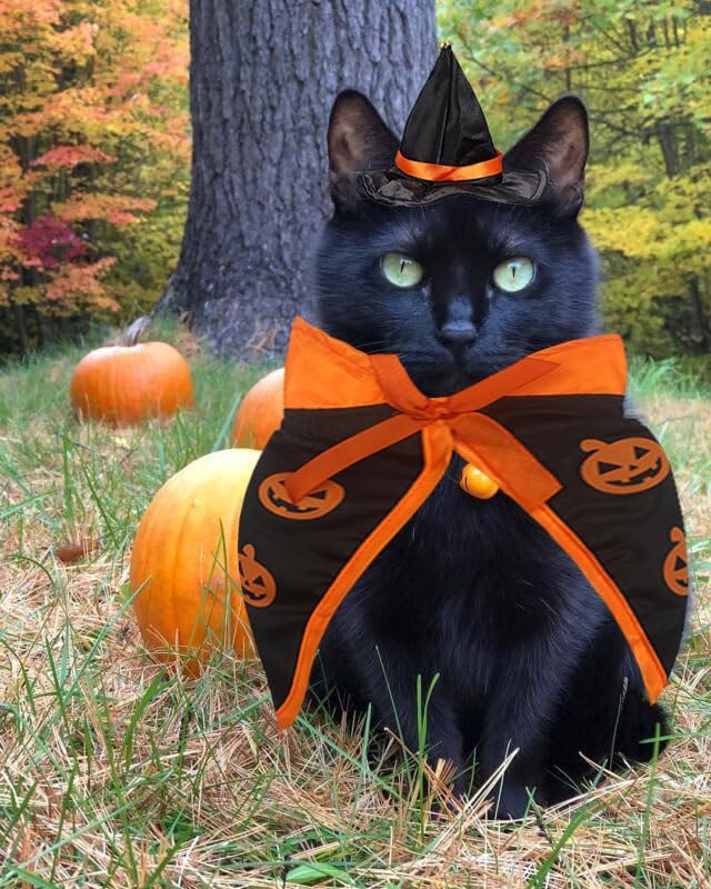 Halloween Cat Costume Cloak Witch Hat Pet Accessories Halloween