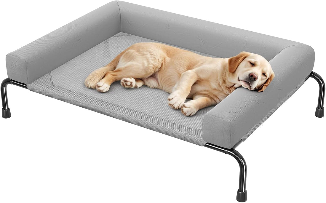 Simple Trending Elevated Dog Bed for Large Dogs with Bolsters