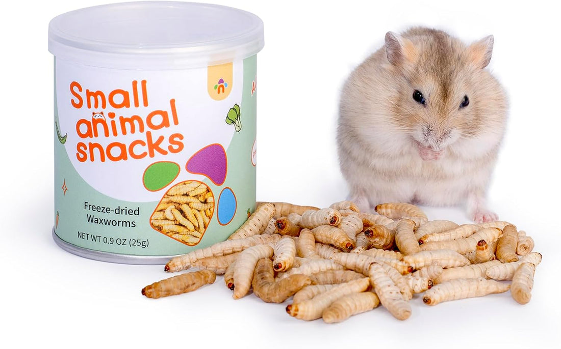 Niteangel Small Animal Snack & Treats - Dried Worms & No Additive