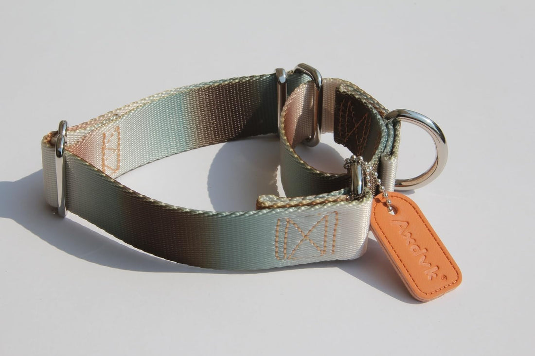 Martingale Dog Collar Colorful Gradient Fashionable