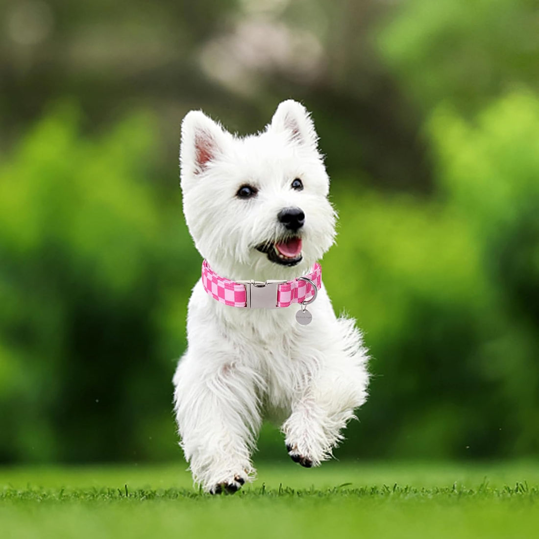 UP URARA PUP Dog Collar for Summer,Cute Pink Plaid Dog Collar,Cotton