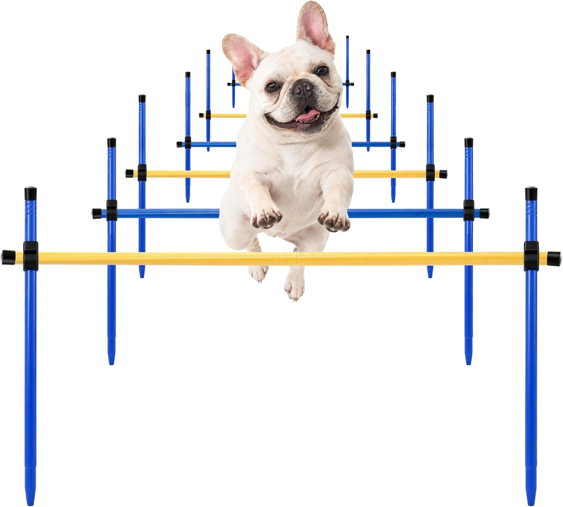 Dog Agility Equipment, Dog Agility Course Backyard Set