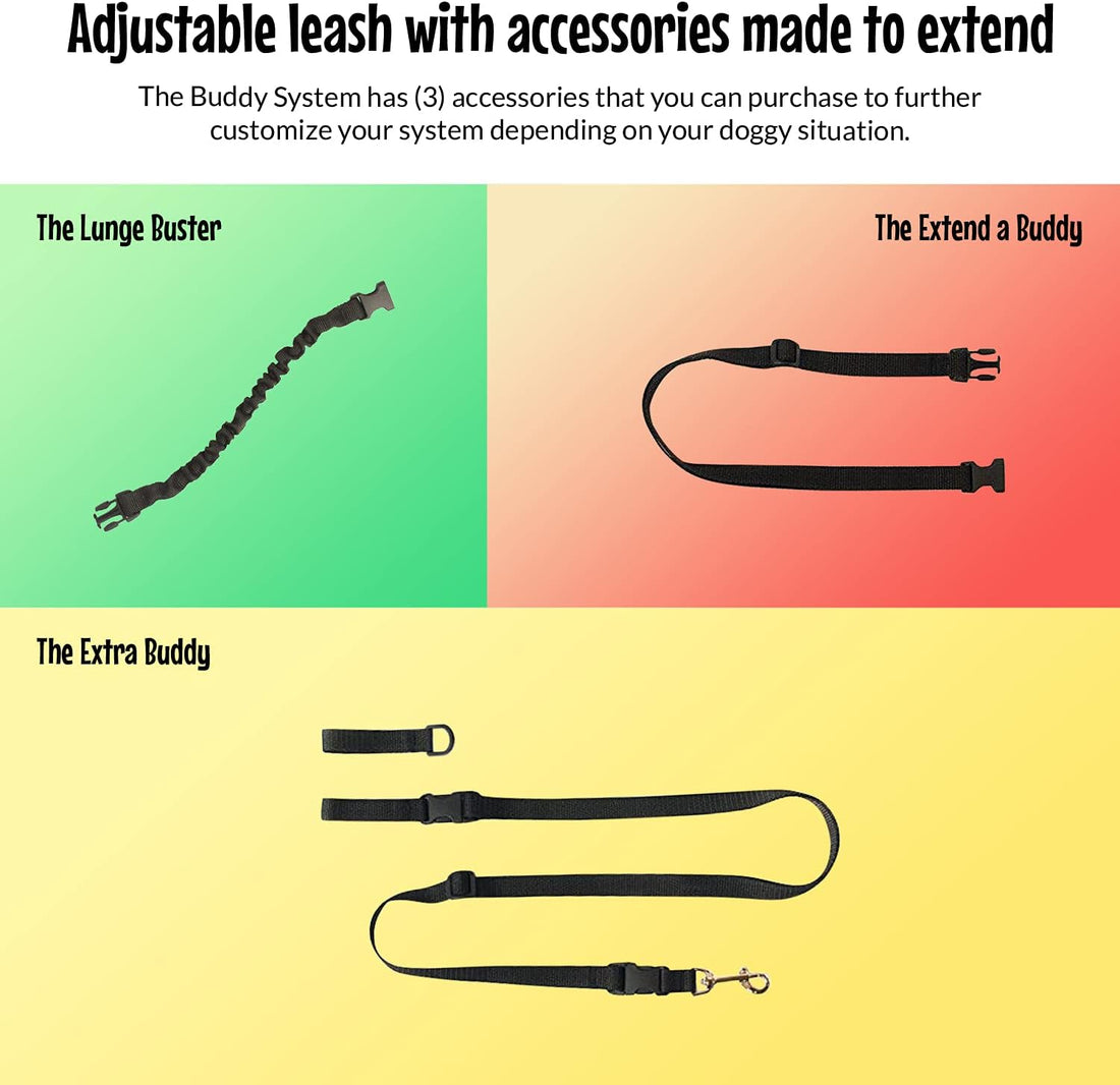 The Buddy System - Hands Free Dog Leash - Small Dog, Large Belt