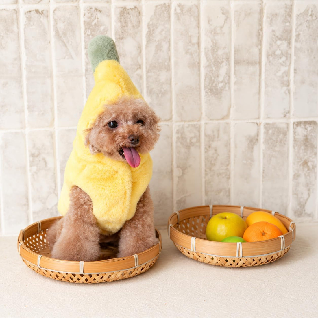 Dog Banana Coat, Jackets Costume for Small Dogs Halloween
