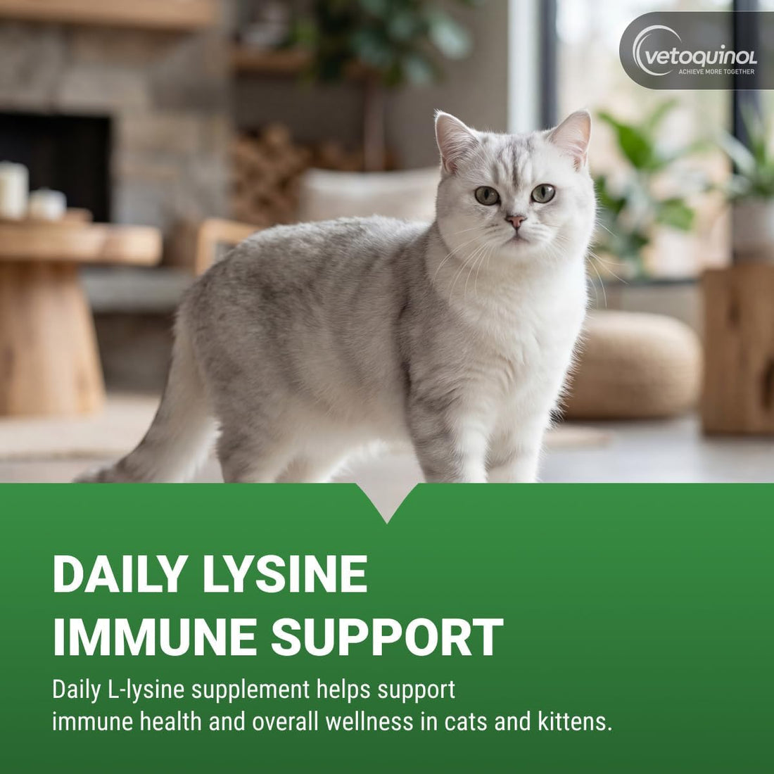 Vetoquinol Enisyl-F Oral Paste: L-Lysine Supplement for Cats