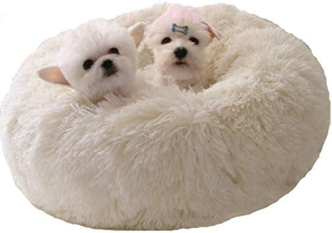 Cat Bed for Indoor Cats,Mini Plush Self Warming Kitten Bed, 20 Inch