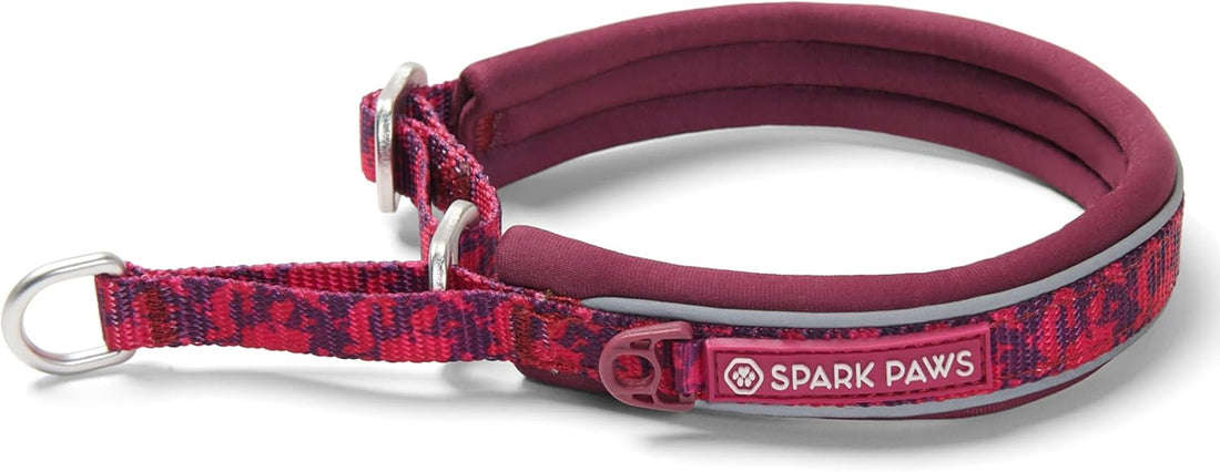 Spark Paws Martingale Dog Collar – Cushioned Slip-On Training Collar