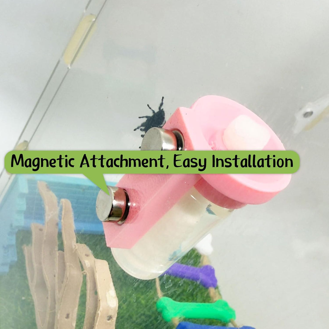 Jumping Spider Water Dispenser
