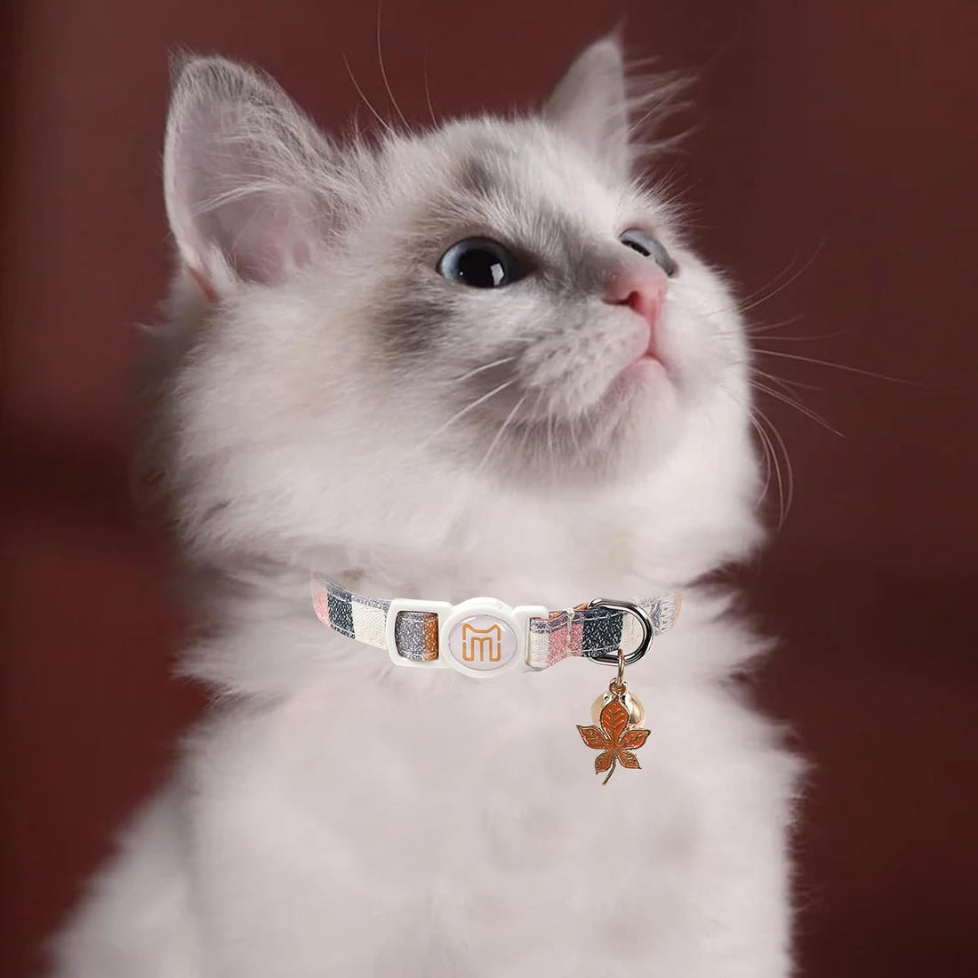 2 Pack Fall Cat Collar with Bell,Breakaway Kitten Collars for Cats