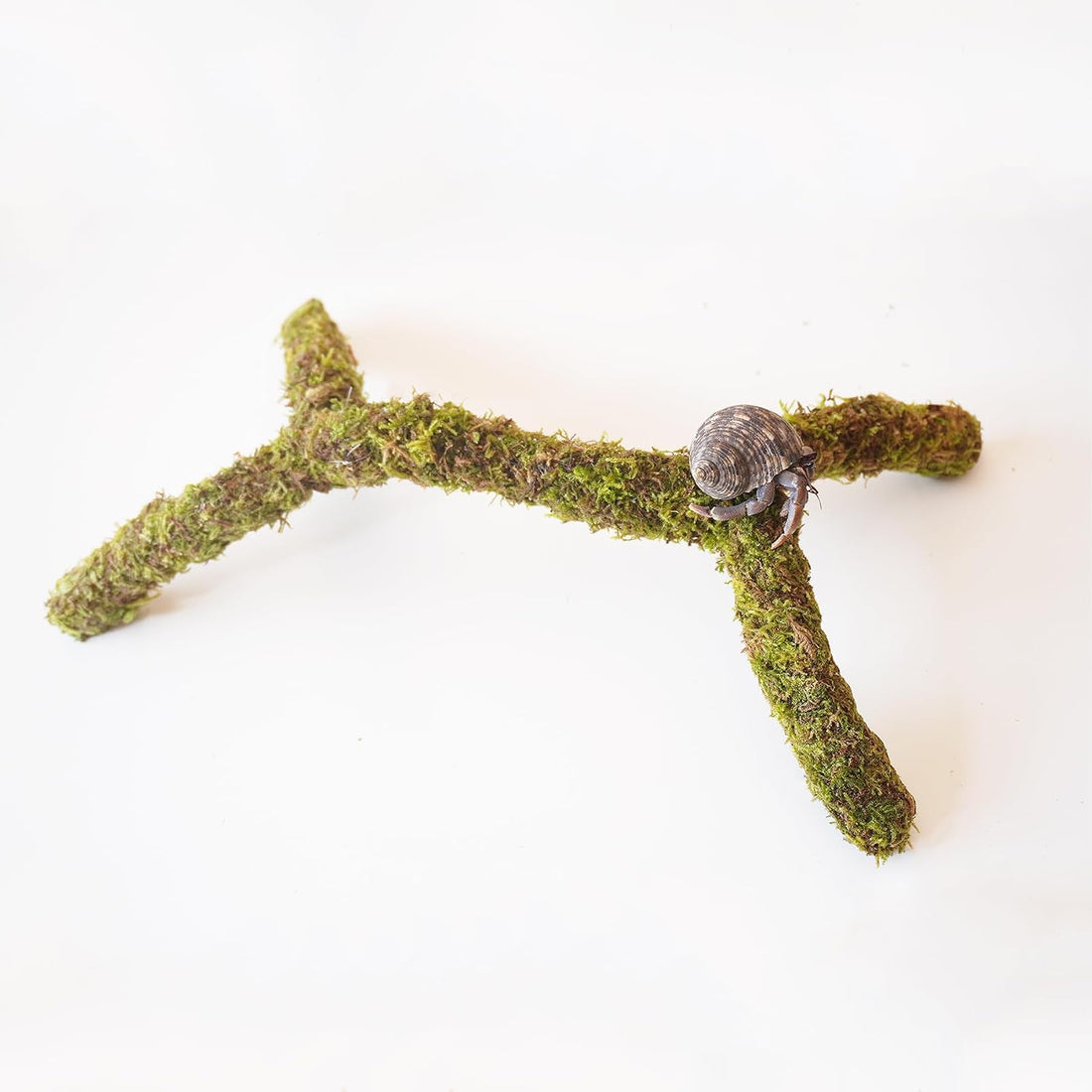 12 Inch Hermit Crab Climbing Toys