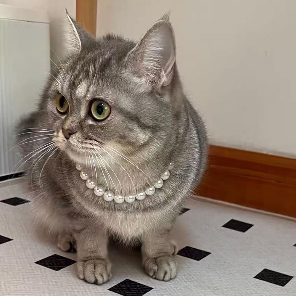 Cat Pearl Necklace, Small Dog Teddy Necklace Jewelry Chihuahua York