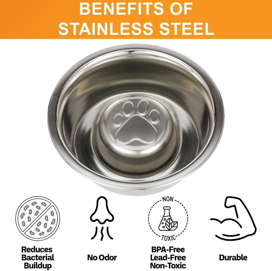 Neater Pet Brands Stainless Steel Slow Feed Dog Bowl