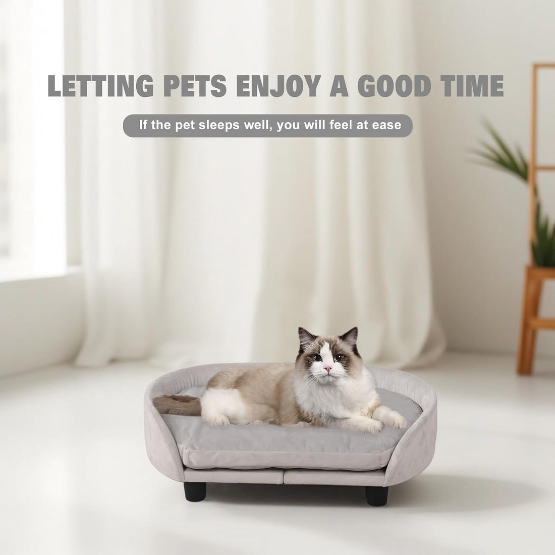Cat Sofa Bed, Velvet Pet Couch Chair withRemoveable & Washable