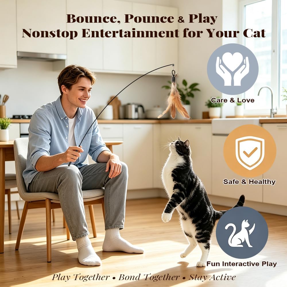 4-Pack Cat Toys for Indoor Cats & Kittens, Interactive Cat Toy