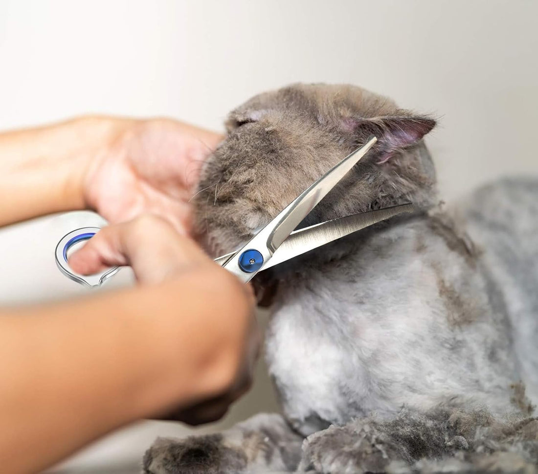 Pets vv 7.5" Curved Dog Grooming Scissors with Safety Round Tips
