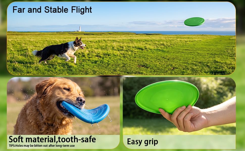 Dog Flying Disc, 2 Pack Dog Frisbee Toy Gift Set for Medium & Large