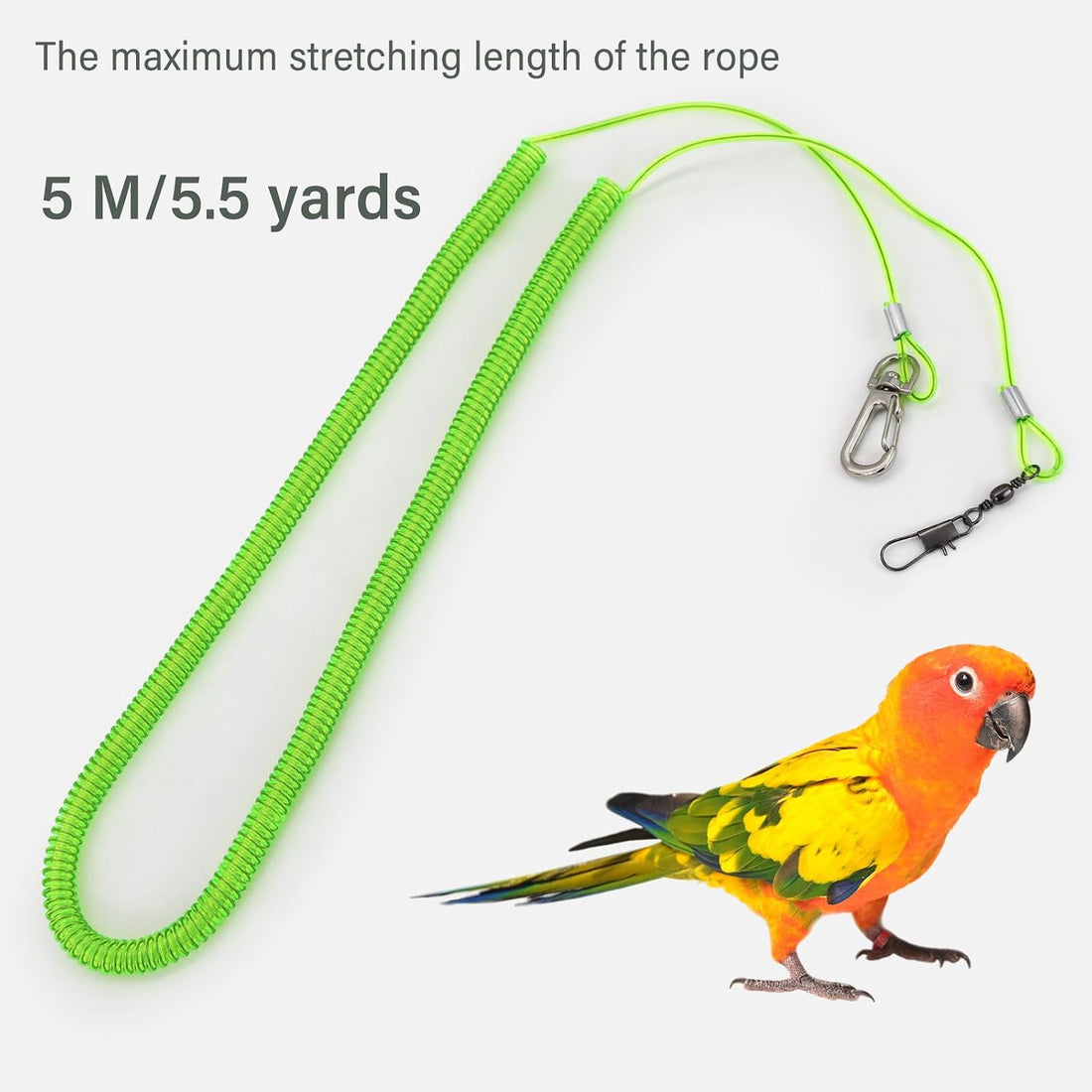 Parrot Flying Leash, 16.4 ft Training Rope with 3 Size Bird Foot Ring