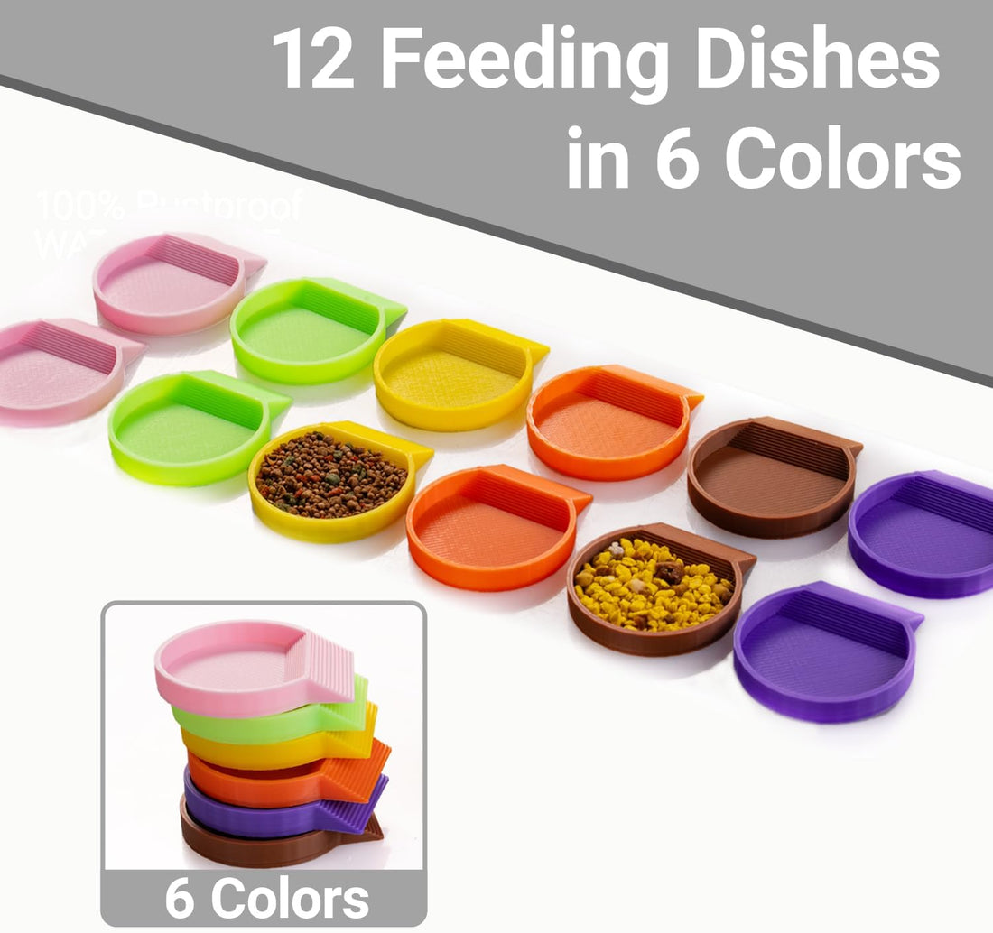 12-Pack Feeding Dish for Invertebrates