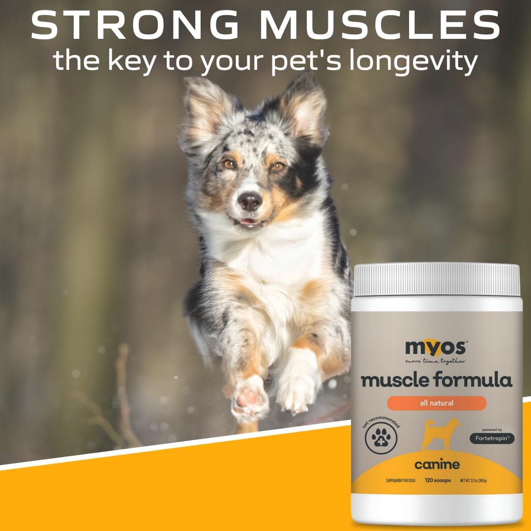 MYOS Canine Muscle Formula - All-Natural Muscle Building Supplement