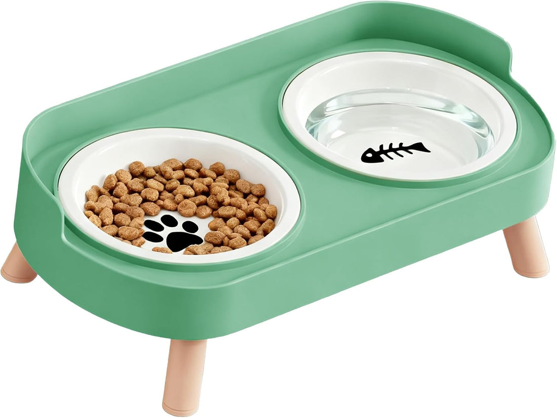 Elevated Cat Bowls, 2 Stainless Steel Raised Cat Food and Water Bowl