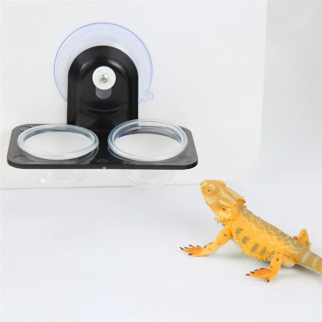 SLSON Gecko Feeder Ledge Acrylic Improved Suction Cup Reptile Feeder