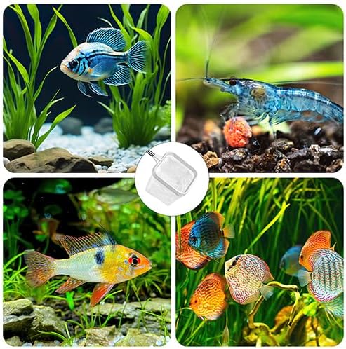2-Pack 3-Inch Aquarium Net – Small Fish Tank Tool for Shrimp & Bettas
