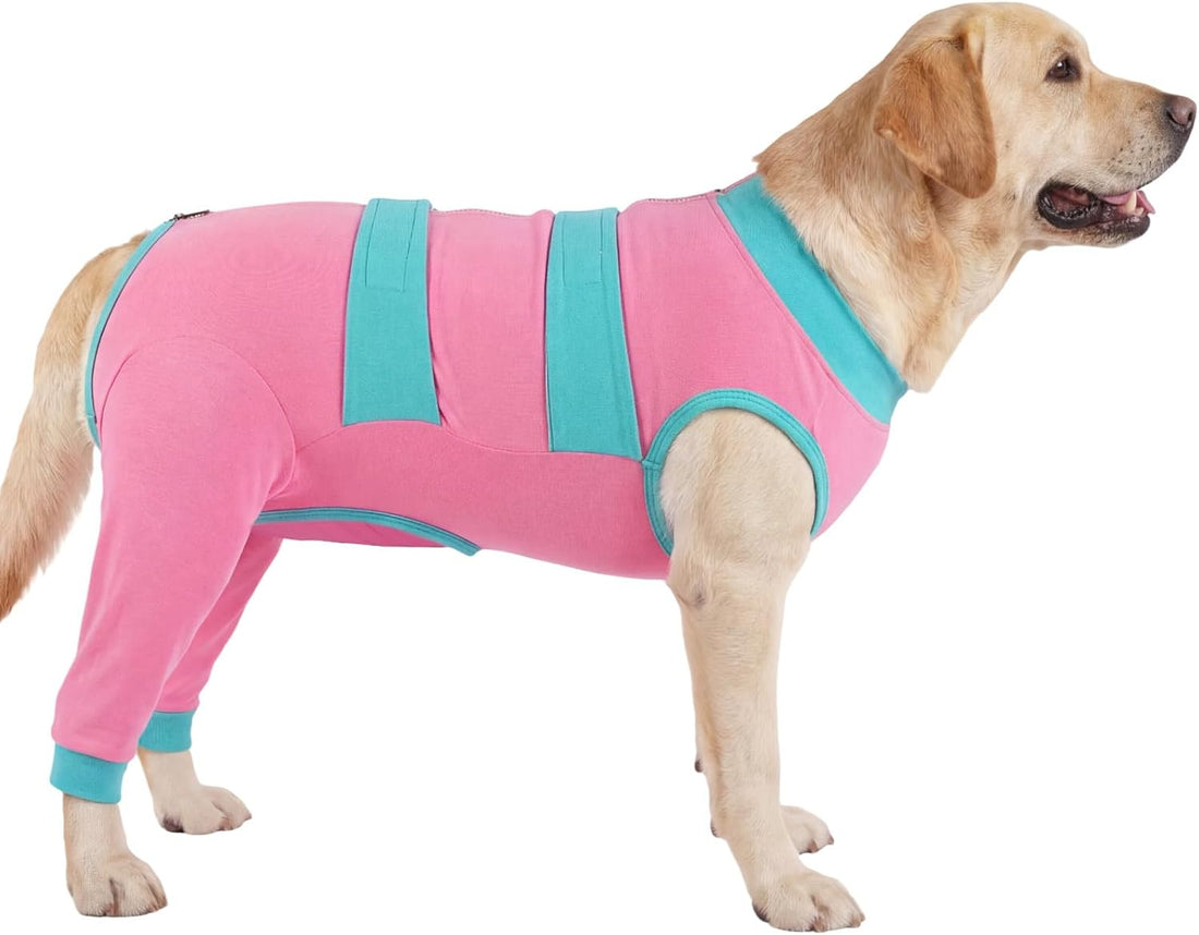 Lelepet Dog Surgery Recovery Suit, Pants for Dogs