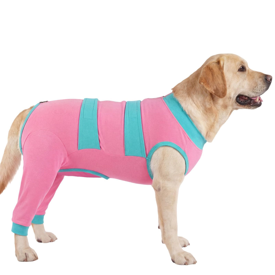 Lelepet Dog Surgery Recovery Suit for Rear Legs