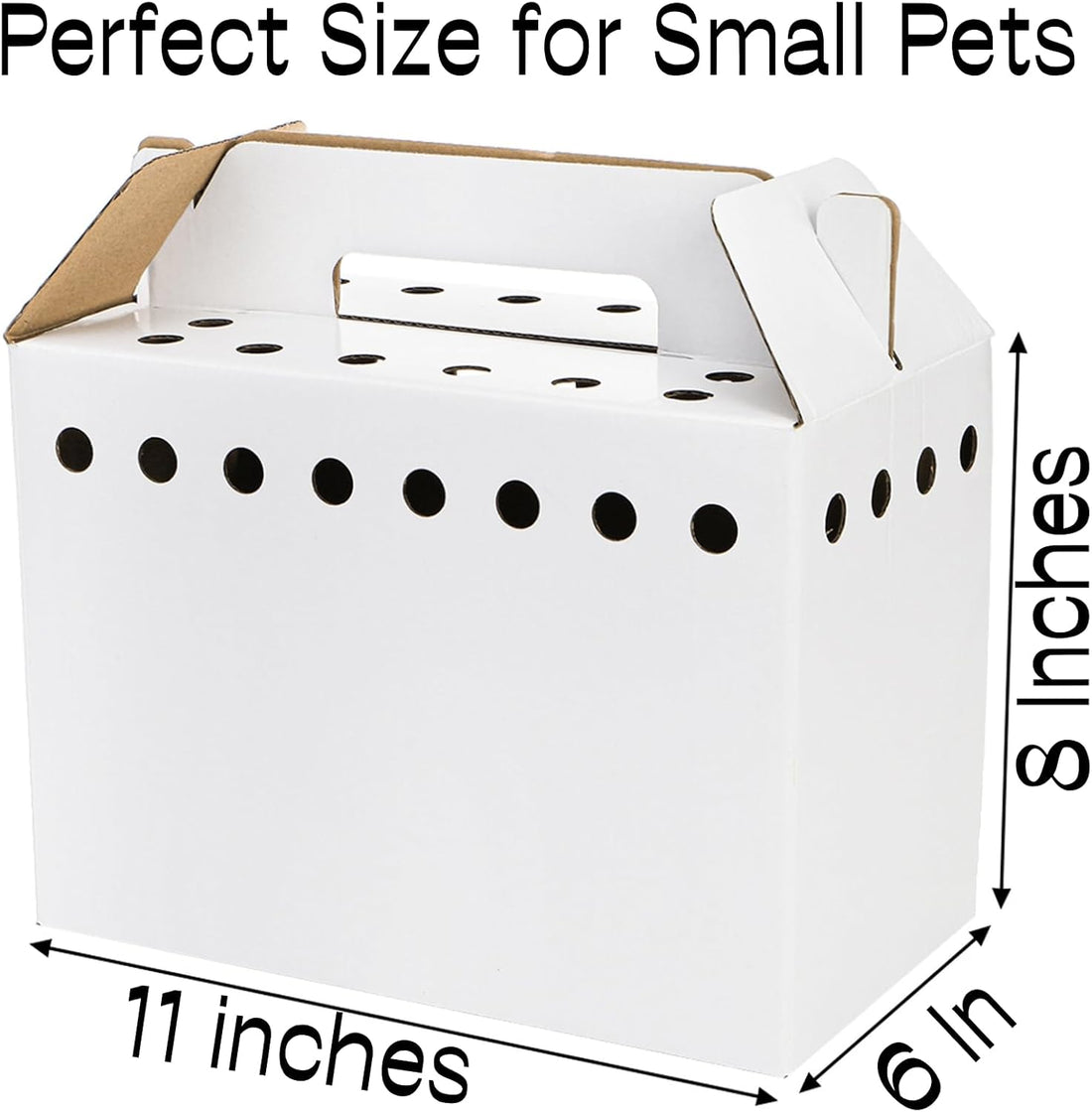 Coloch 20 Pack Cardboard Pet Carrier for Small Pets