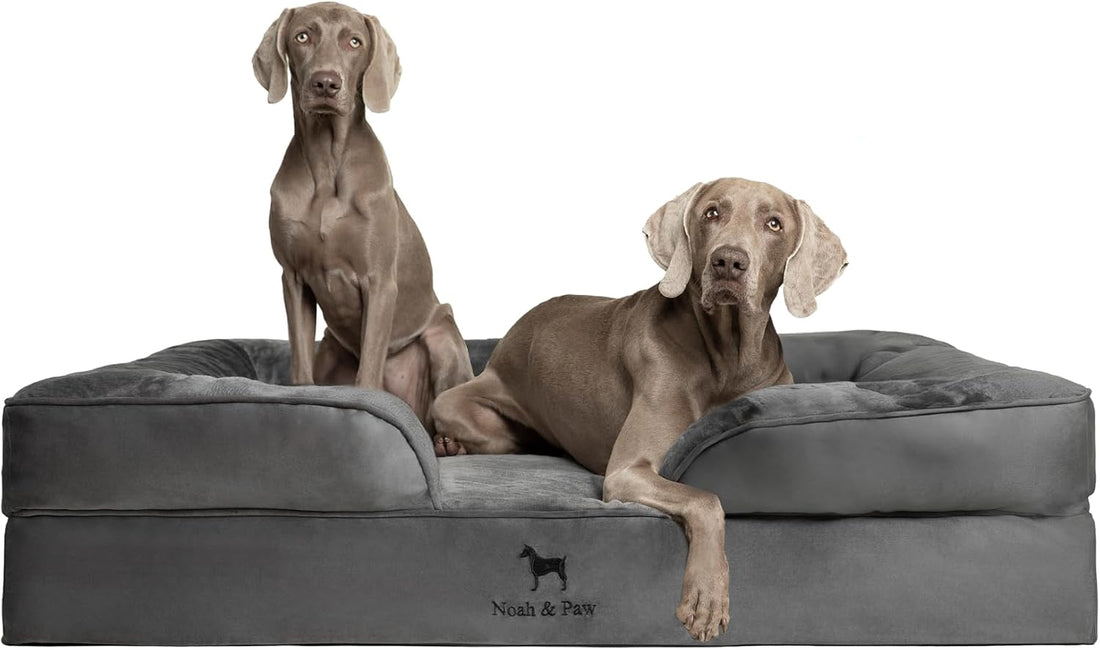 NOAH & PAW XXL Dog Bed, Orthopedic Memory Cooling Foam 55x45x11in