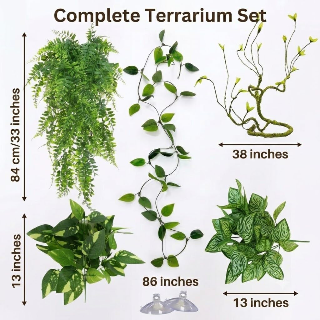 Reptile Plants for Terrarium, Bearded Dragon Tank Accessories