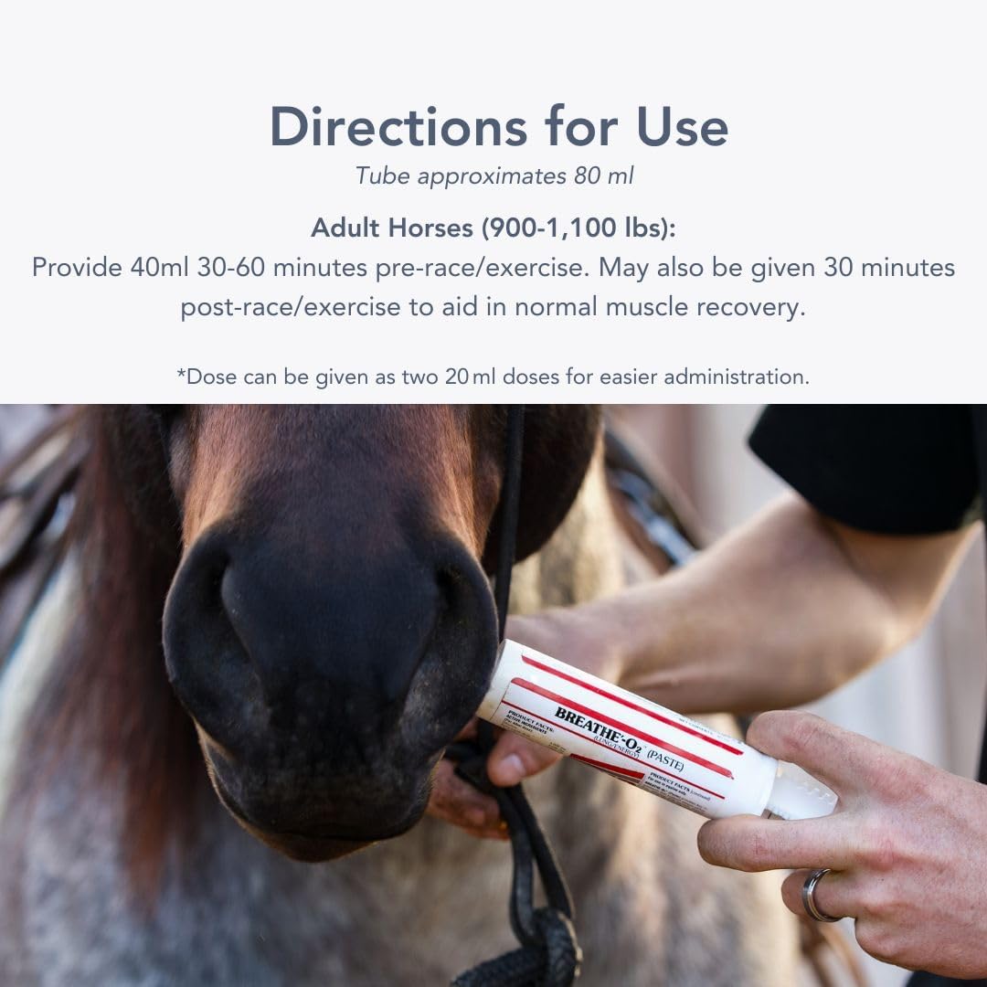 MVP Breathe O'2 Pre-Race Paste to Support Lung/Airway Function