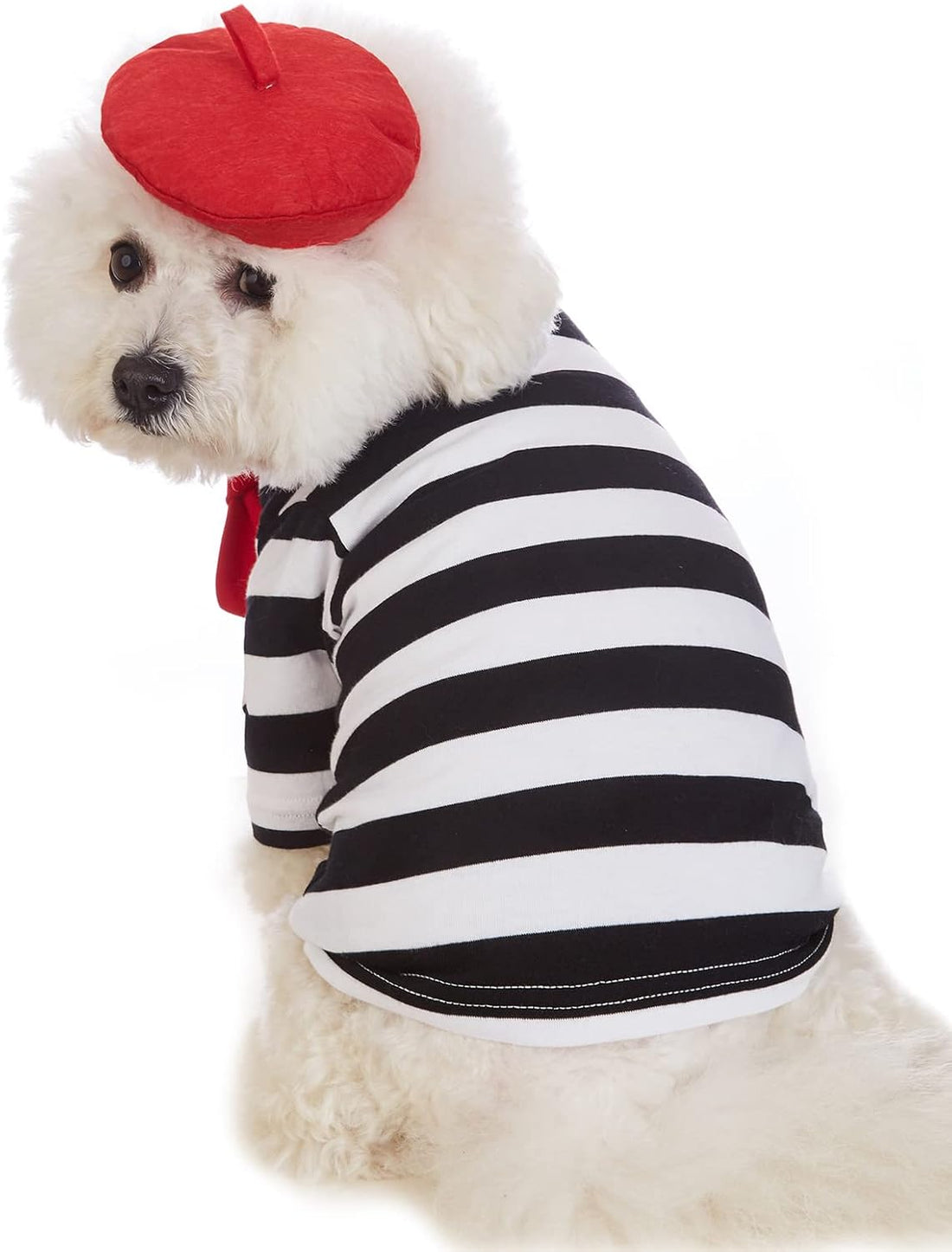 Artist Dog Costume with Funny Hat Painter Pet Clothes for Small Dog