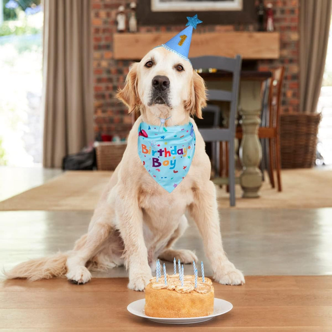 Yicostar Dog Birthday Party Supplies, Dog Birthday Bandana Set