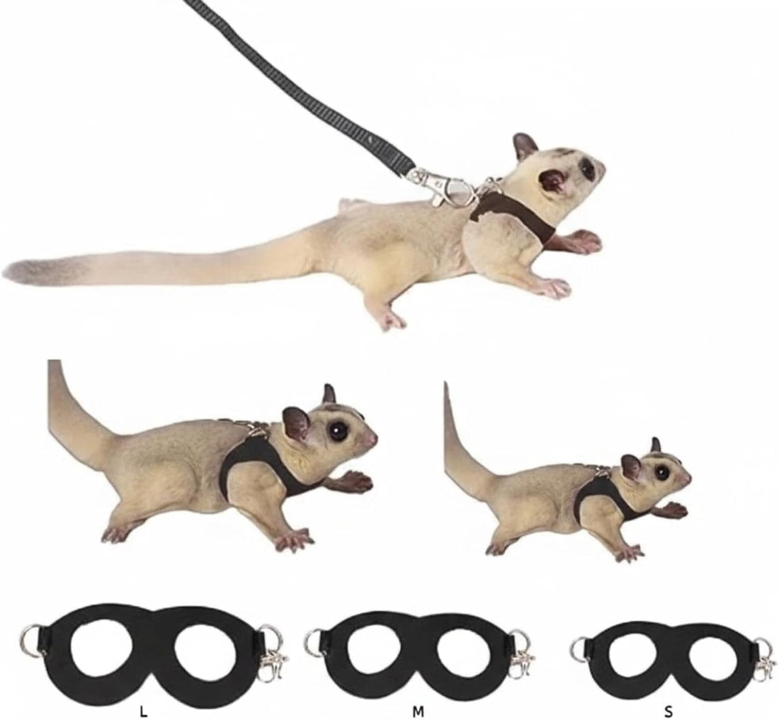 MANON ROSA Sugar Glider Harness and Leash Set, Adjustable 3 Pcs Vest
