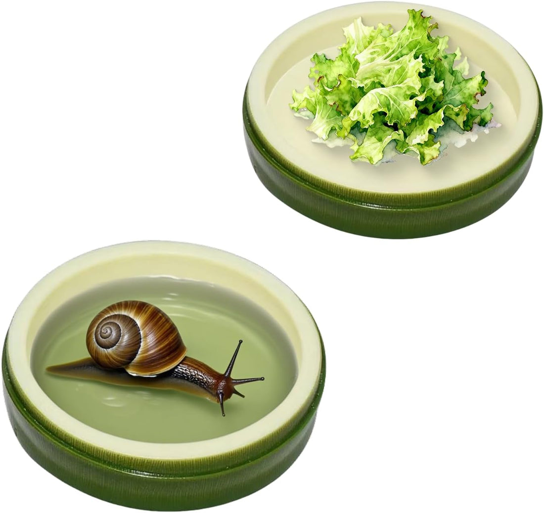 2 Pack Snail Water and Food Bowl，atural Design Food Bowl for Pet