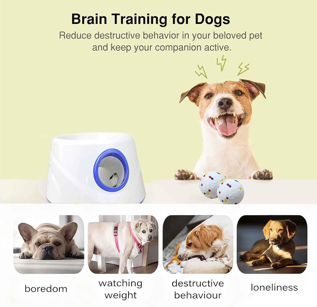 Automatic Dog Ball Launcher, with 6 2.3" ETPU Balls