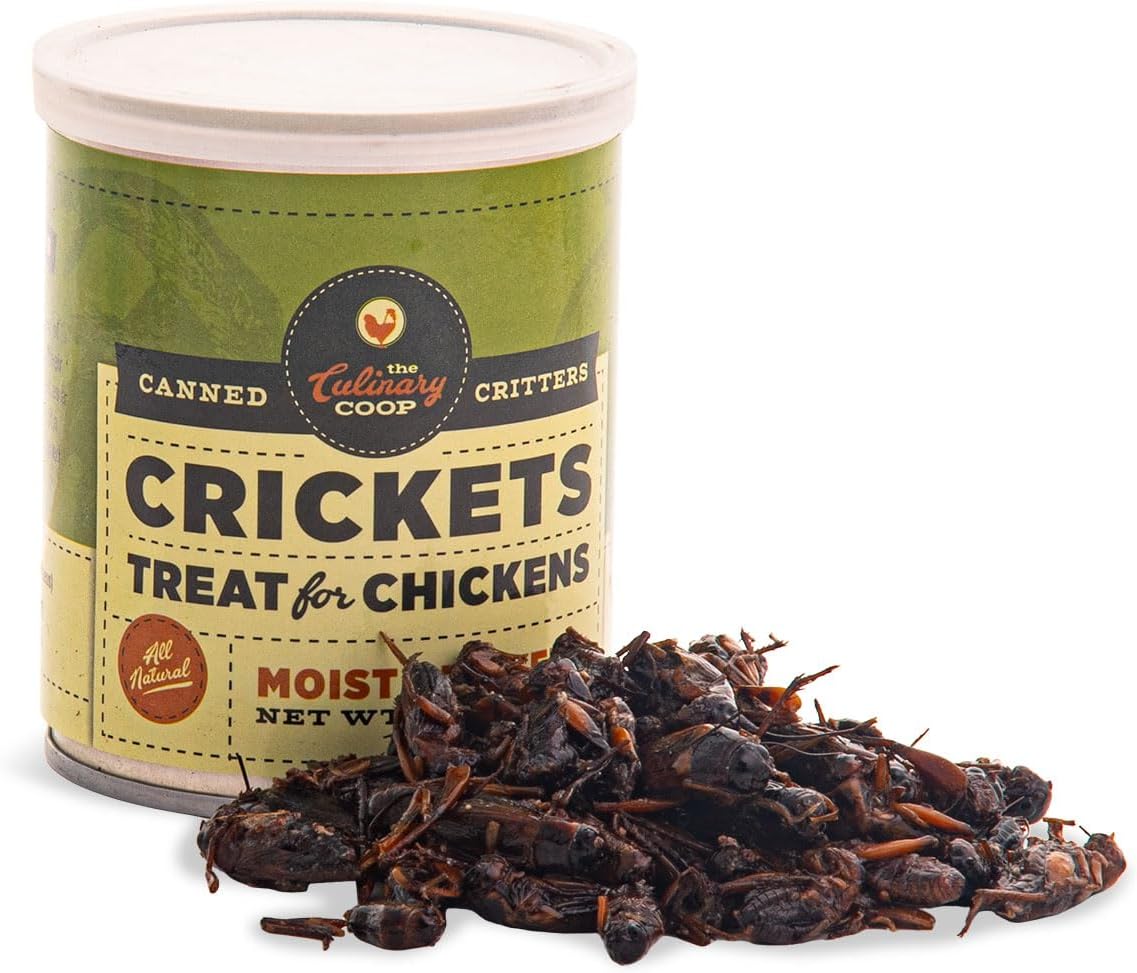 Fluker's Culinary Coop Canned Crickets Chicken Treat