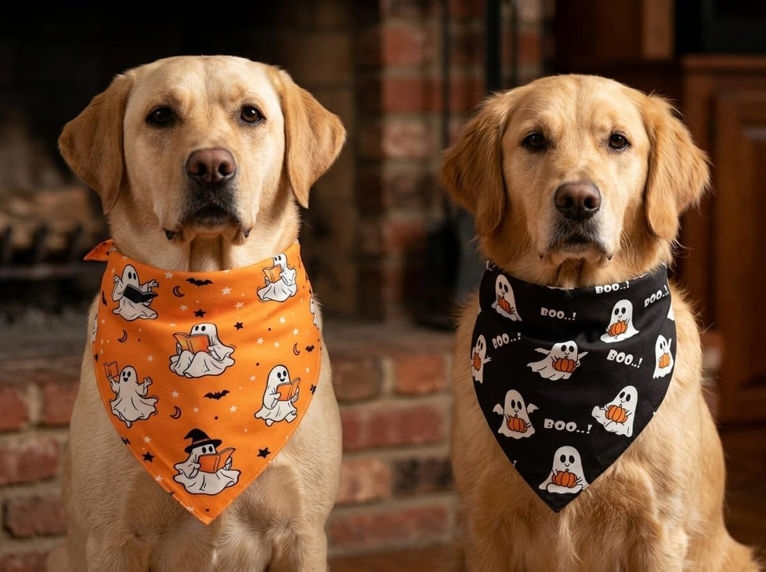 Halloween Dog Bandanas Cute Ghost Reversible Pet Outfit 2PCS