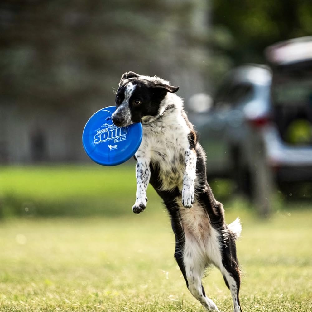Hero Disc Super Sonic (Taffy) 215mm Dog Disc Orange