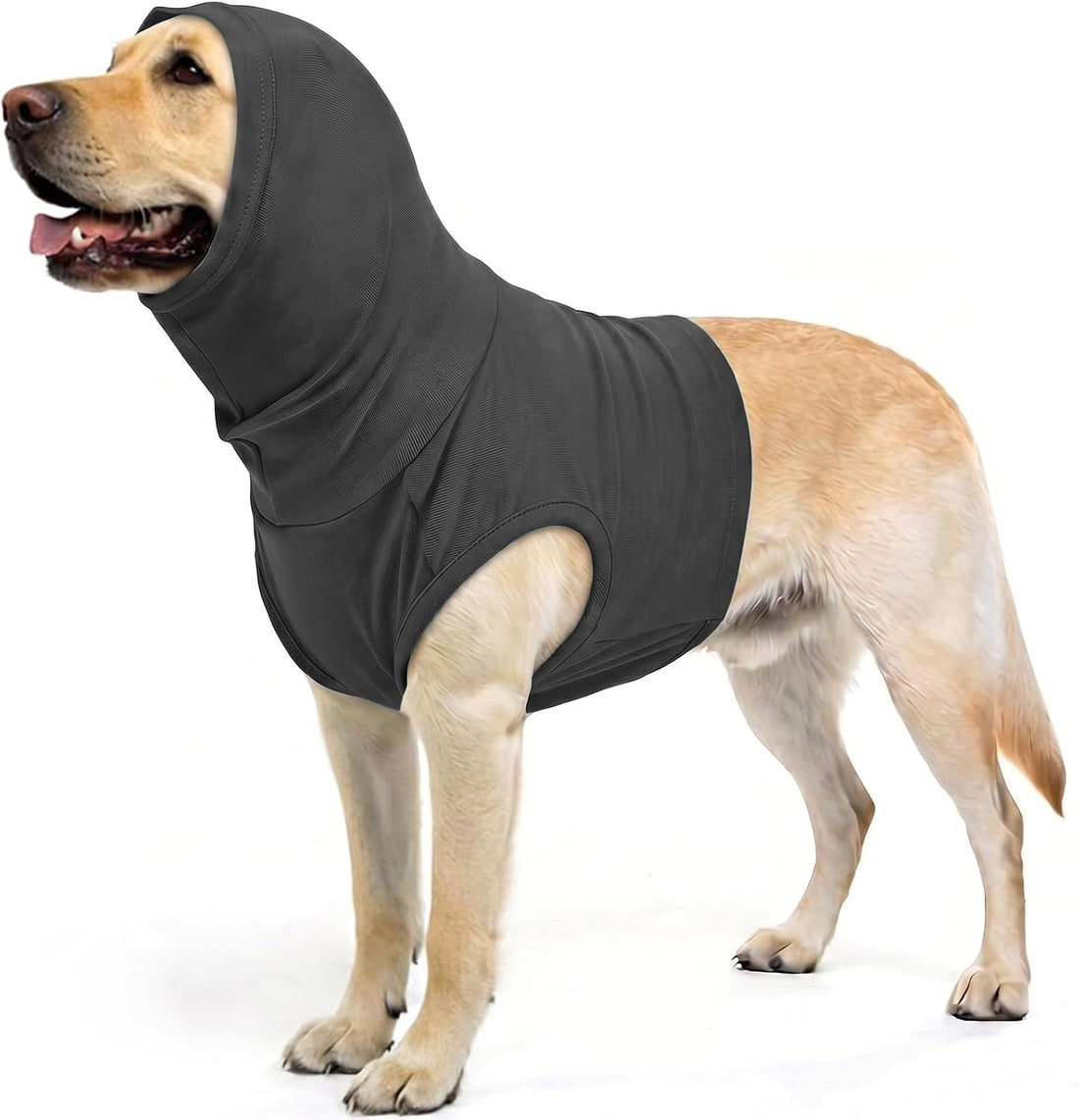ROZKITCH Cat Neck Protector, Cat Surgery Recovery Suit