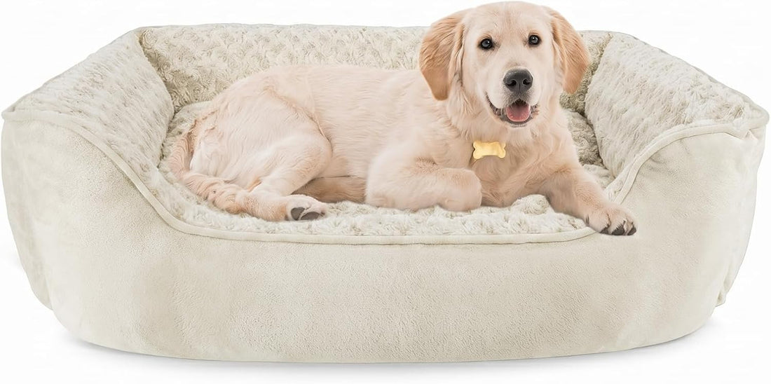 JOEJOY Rectangle Dog Bed for Large Medium Small Dogs