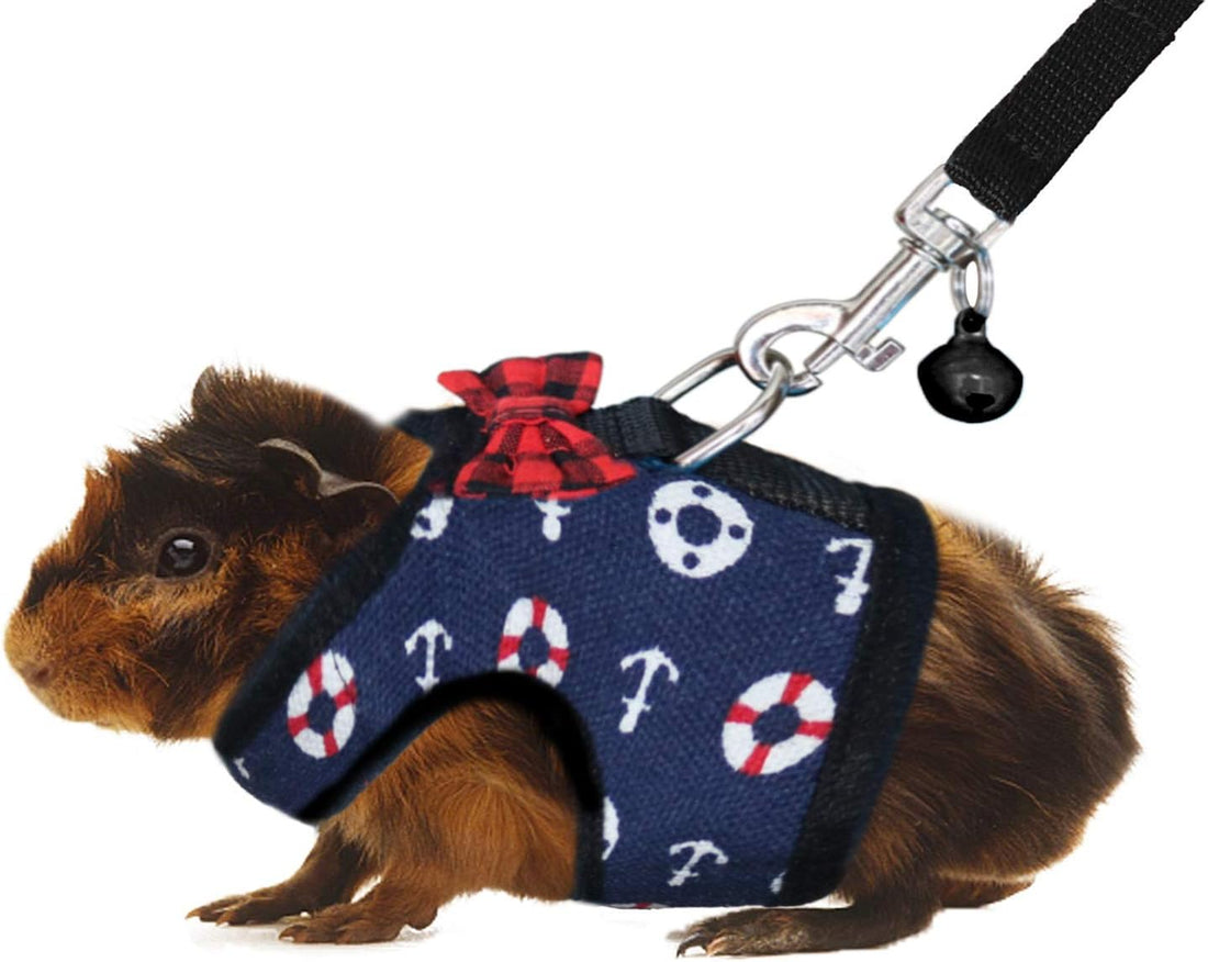 Rypet Guinea Pig Harness and Leash
